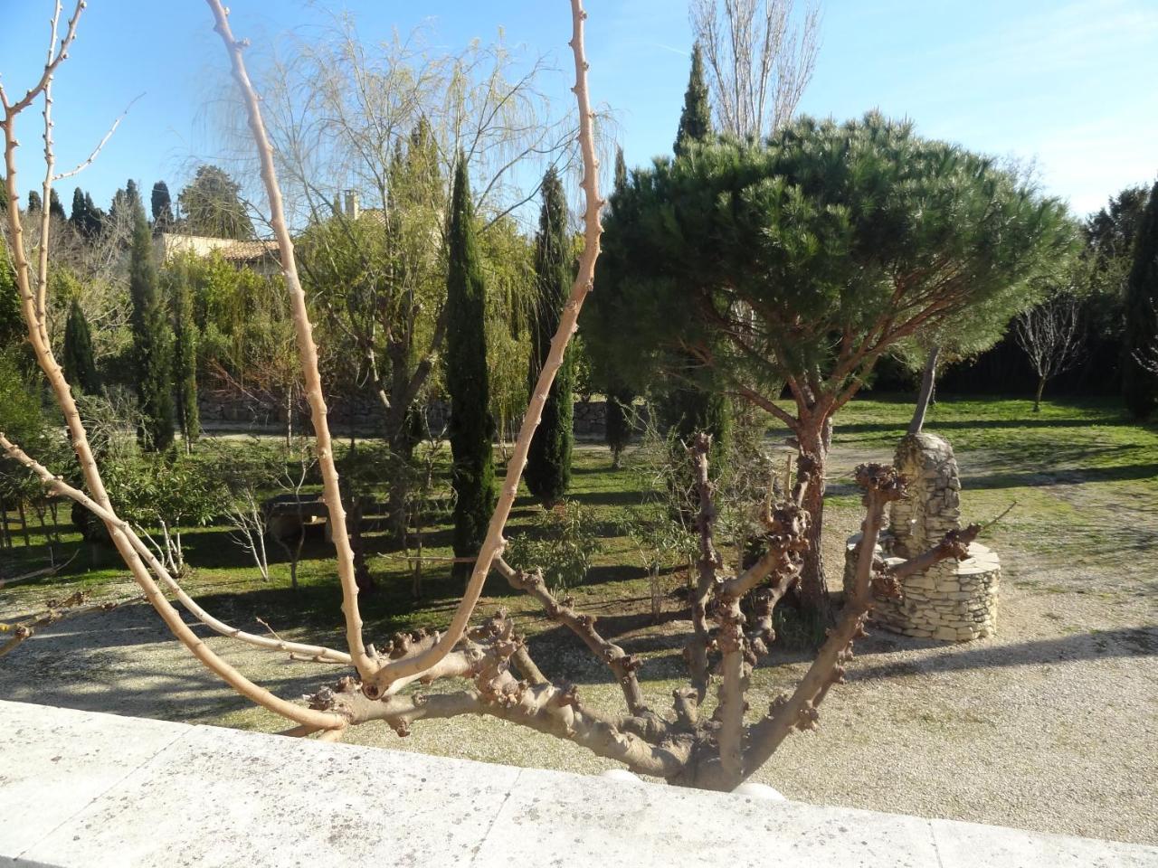 Apartmán Locations Des Alpilles Saint-Rémy-de-Provence Exteriér fotografie